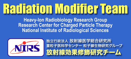 Radiation Modifier Team